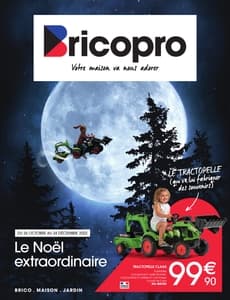 Catalogue Brico Pro Noël 2022 page 1