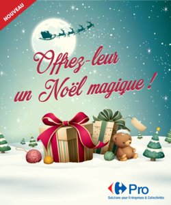 Carrefour Pro Noël 2017 page 1