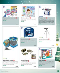 Carrefour Pro Noël 2017 page 49