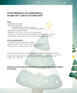 Carrefour Pro Noël 2017 page 63