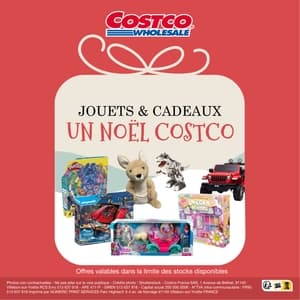 Costco France Noël 2022 page 1
