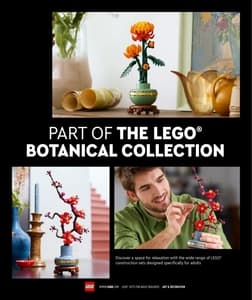 Catalogue LEGO Adults Welcome Octobre 2024 page 133