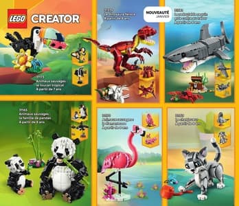 Catalogue LEGO Janvier À Juin 2026 page 30