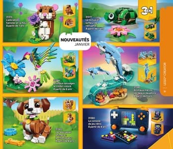 Catalogue LEGO Janvier À Juin 2026 page 31