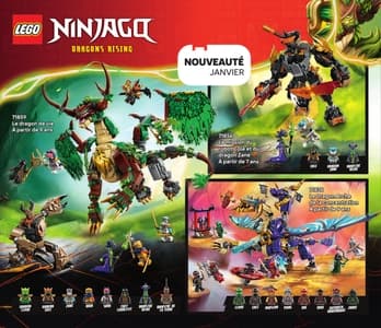 Catalogue LEGO Janvier À Juin 2026 page 46