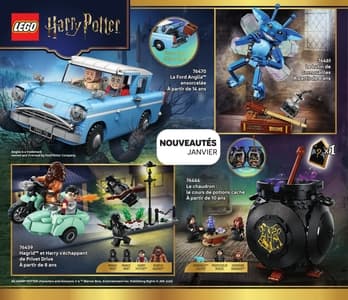 Catalogue LEGO Janvier À Juin 2026 page 60