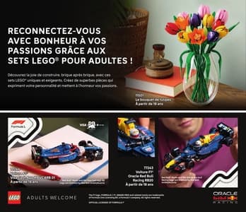 Catalogue LEGO Janvier À Juin 2026 page 78