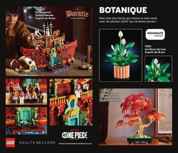 Catalogue LEGO Janvier À Juin 2026 page 82