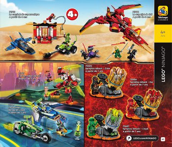 Catalogue LEGO Janvier À Mai 2021 page 41