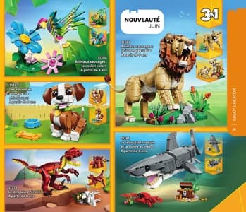 Catalogue LEGO Second Semestre Juillet À Décembre 2026 page 29