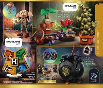 Catalogue LEGO Second Semestre Juillet À Décembre 2026 page 51
