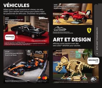 Catalogue LEGO Second Semestre Juillet À Décembre 2026 page 73