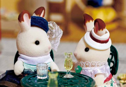 Catalogue Sylvanian Families 2018 page 9