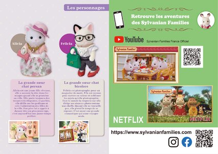 Catalogue Sylvanian Families 2021 page 51