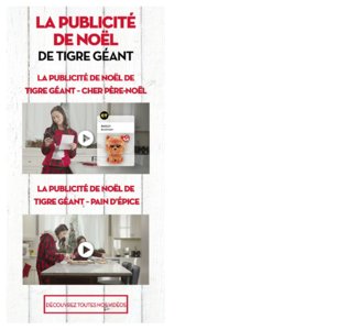 Catalogue (circulaire) Tigre Géant Canada Noël 2016 page 24